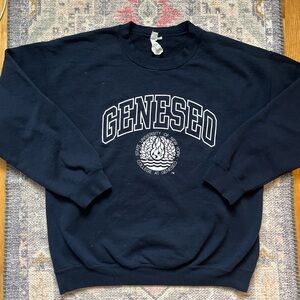 vintage gildan geneseo crewneck
